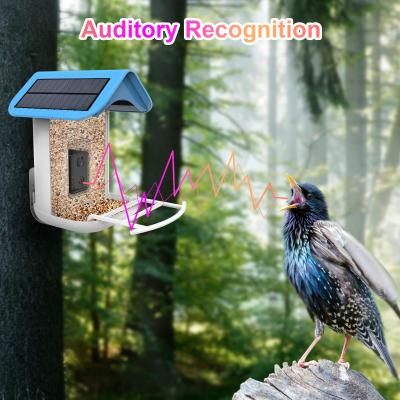 China House Standing Solar Powered Smart Bird Feeder with Trail Camera for sale