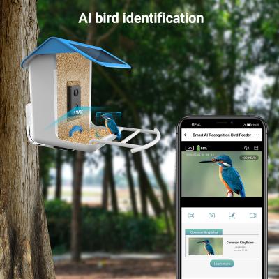 China Wildlife Wifi Camera AI Recognize Bird Species Smart Bird Feeder for Outdoor Garden with Solar Panel for sale
