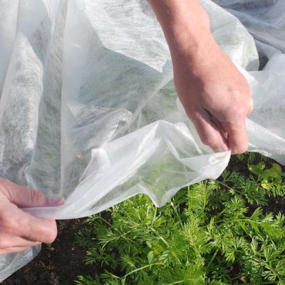 China Nonwoven Plant Covers Protection Garden Crop Biodegradable for sale