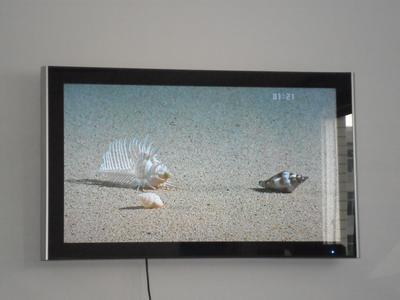 China 42 WIFI Network LCD Digital Advertising Signage With USB / HDMI / VGA Interface for sale