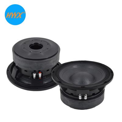 China Double Magnet 10 Inch Woofer Speaker for sale