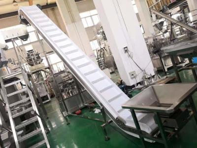 China 0.75KW Incline Conveyor Systems for sale