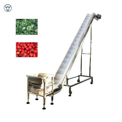 China Vegetable Fruit Frozen Food Inclined Conveyor Automatic Belt Chain Conveying for sale