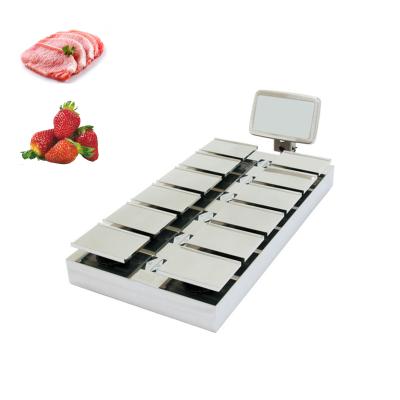 China Manual Desk Top 500g 1Kg Weigher Machine For Fruit Vegetable Meat Fish for sale