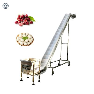 China Inclined Belt Chain Conveyor For Conveying Frozen Food Fresh Cherry Burry for sale