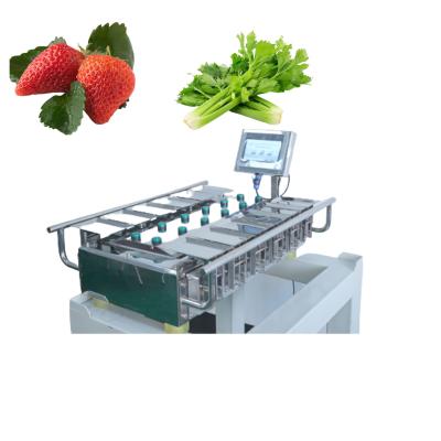 China 250g 500g 1000g Manual Packaging Machine Vegetables Fruits Weighing for sale