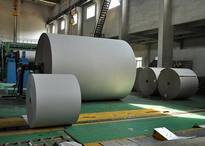 Proveedor verificado de China - New Bamboo Paper Co., Ltd
