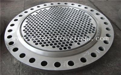 China Tube Sheet Double Stainless Steel Forged Disc 1.4462, F51, S31803 F60, S32205 F53, S32750 for sale