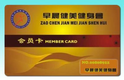 China I CODE 2 chip cards, I CODE SLI/SL2 ICS20 chip cards, ISO/IEC 15693 protocol cards for sale