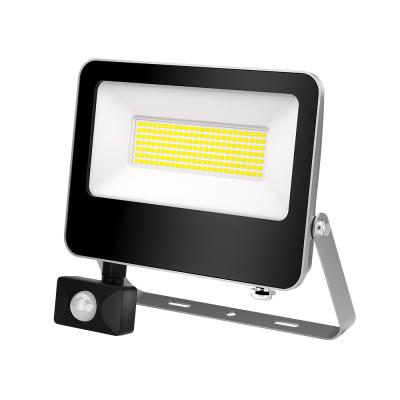 China Security Spotlight IP65 Waterproof Hot Sale Led Flood Light Aluminum Housing With Motion Sensor For Garden Street Wall for sale