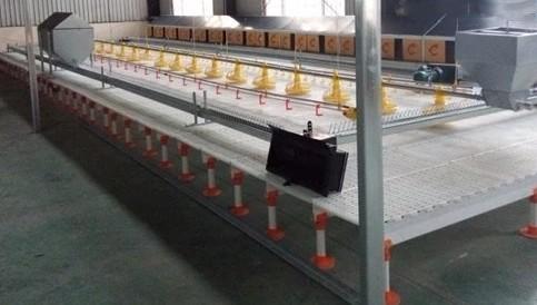 Duck Broiler 100% PP UV Poultry Slat Flooring 1