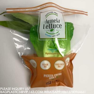 中国 Manufacture Eco-Friendly Cellophane Vegetable Bags Customize Logo Lettuce Packaging Bag 販売のため