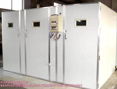 China Electric Or Solar Incubator  Automatic Egg Incubator  Chicken Incubators Hatching Eggs for sale