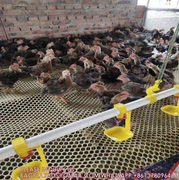 Quality Customized Plastic Flat Breeding Mesh Bird Safety Net For Chicken Farm Poultry for sale