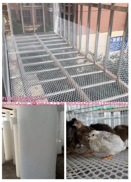 Quality Customized Plastic Flat Breeding Mesh Bird Safety Net For Chicken Farm Poultry for sale