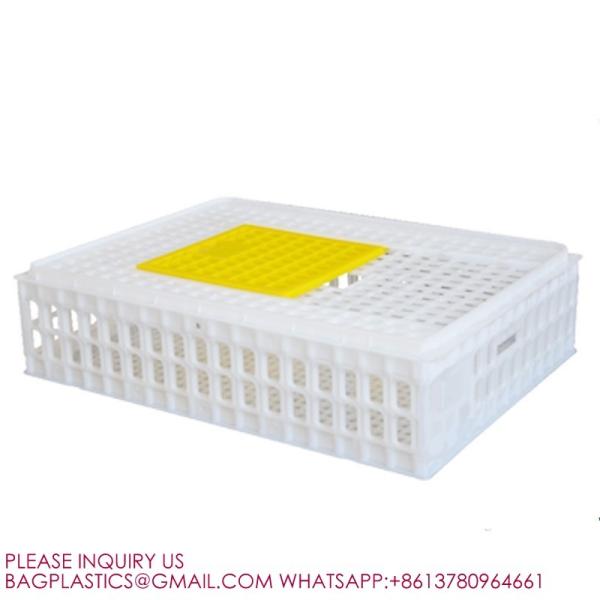 Quality Poultry Crates Poultry Carrier Boxes Plastic Transport Chicken Cage Poultry for sale