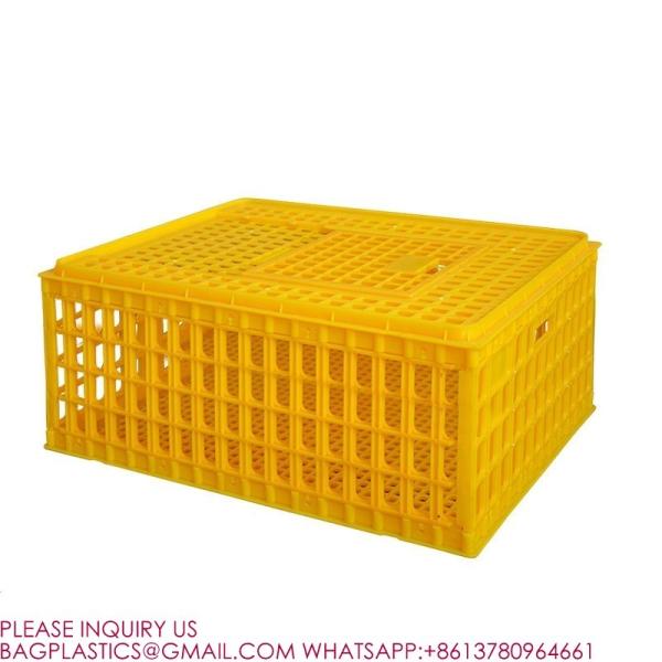 Quality Poultry Crates Poultry Carrier Boxes Plastic Transport Chicken Cage Poultry for sale