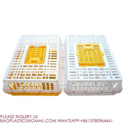China Poultry Crates Poultry Carrier Boxes Plastic Transport Chicken Cage Poultry Carrier Crate for sale