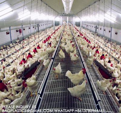 Китай Spring Auger Feed Pan 0.75kw Automated Poultry Feeding System Poultry Spring Auger Feed Pan продается
