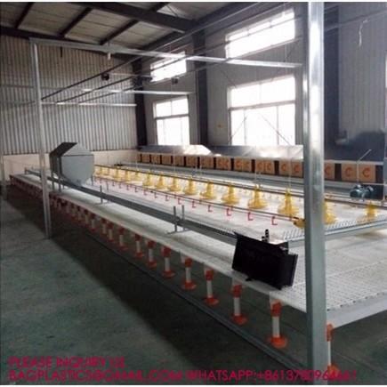 Quality 100% Pure PP Broiler 40mm Slatted Floor System In Poultry Duck Broiler 100% PP for sale
