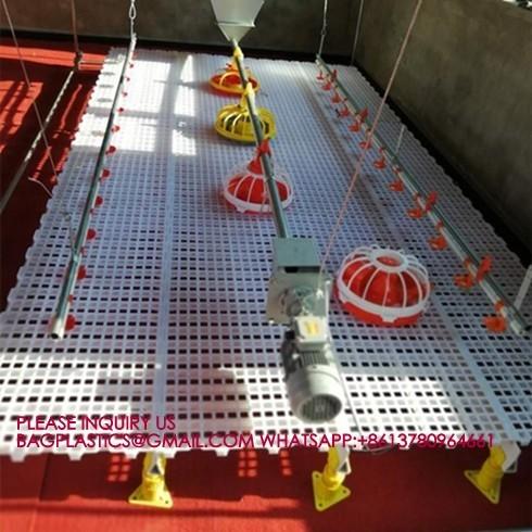 Quality 100% Pure PP Broiler 40mm Slatted Floor System In Poultry Duck Broiler 100% PP for sale