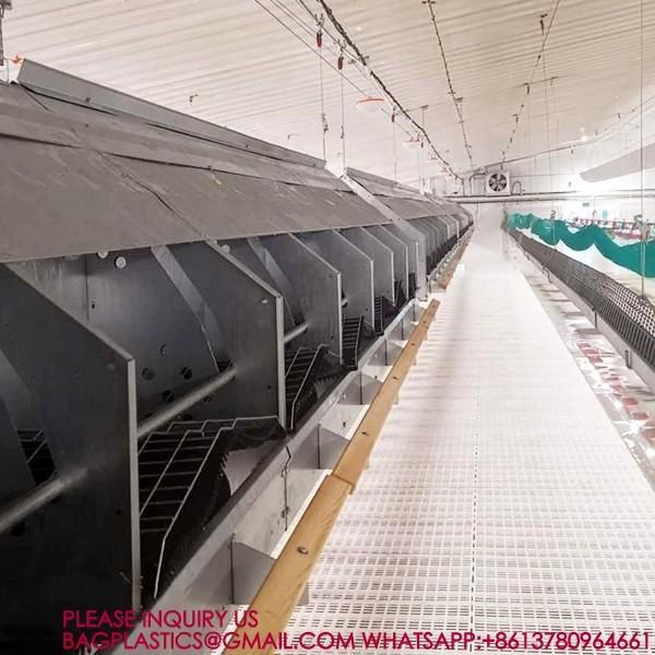 Quality 100% Pure PP Broiler 40mm Slatted Floor System In Poultry Duck Broiler 100% PP for sale