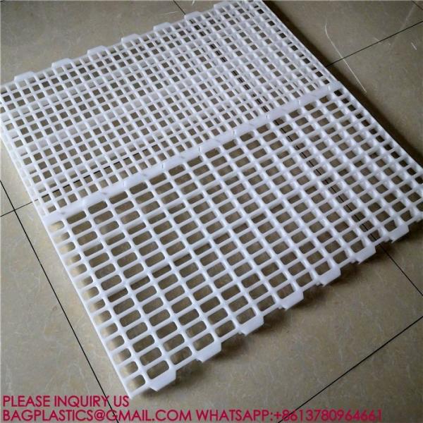 Quality 100% Pure PP Broiler 40mm Slatted Floor System In Poultry Duck Broiler 100% PP for sale