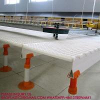 Quality 40mm Slatted Floor System In Poultry, PP Slatted Floor System, Plastic Floor For for sale