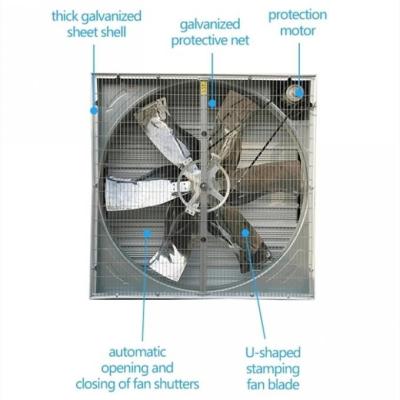 China Heavy Duty Poultry Ventilation System Exhaust Fan For Cooler, Window Mounted Exhaust Fan for sale