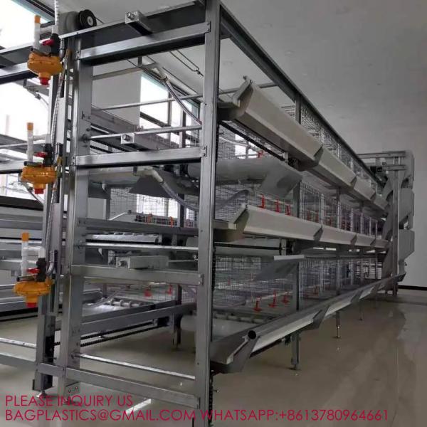 Quality Modern Design H Type Automatic Egg Poultry Farms Battery Layer Chicken Cages for sale