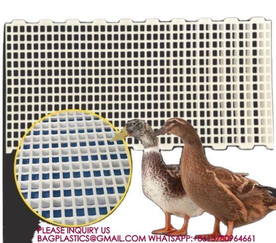 Quality Plastic Poultry Floors 500*1200mm Chicken duck Floor poultry animal husbandry equipment for sale