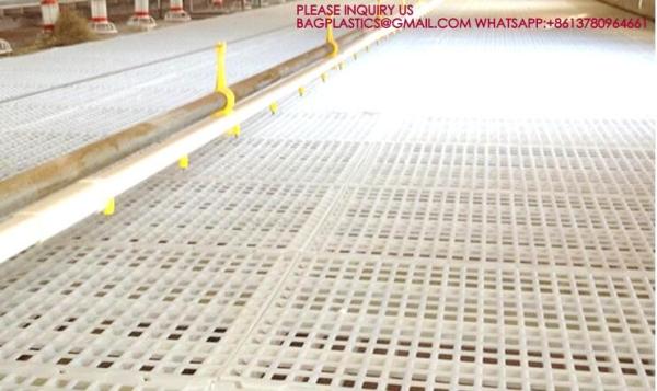 Quality Chicken Poultry Flooring 1200*500mm Duck Goose Floor Covering white color rabbit for sale