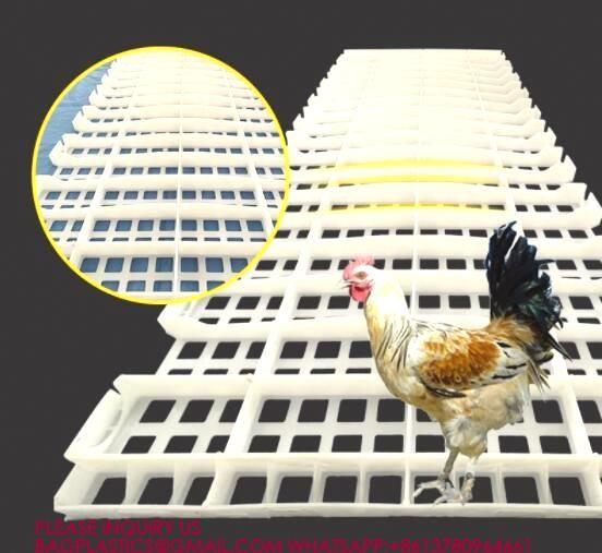 Quality Chicken Poultry Flooring 1200*500mm Duck Goose Floor Covering white color rabbit for sale