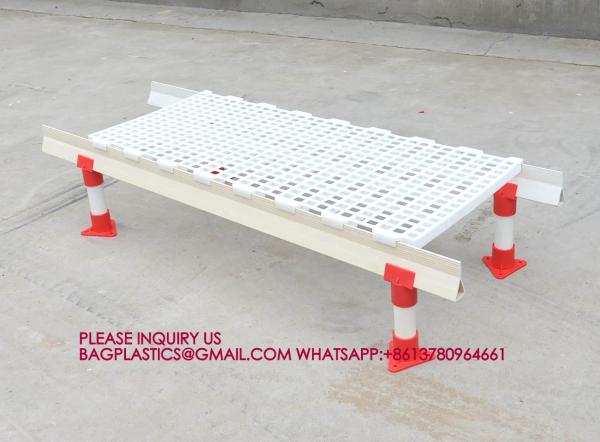 Quality Chicken Poultry Flooring 1200*500mm Duck Goose Floor Covering white color rabbit for sale