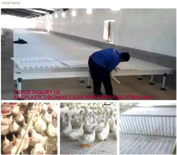 Quality Chicken Plastic Slat Floor Poultry Farm Slatted Flooring Green color 40*27cm for sale