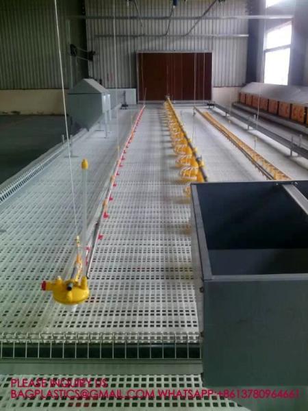 Quality Green Color 40*27cm Rabbit Slat Floor Chicken Plastic Slat Floor Poultry Farm for sale