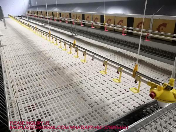 Quality Green Color 40*27cm Rabbit Slat Floor Chicken Plastic Slat Floor Poultry Farm for sale