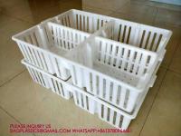 Quality sustainable white chicken cage 680*490*160mm Virgin PP Transportation Chicken for sale