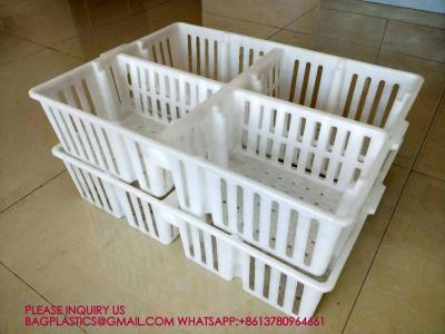 China sustainable white chicken cage 680*490*160mm Virgin PP Transportation Chicken Cage for sale