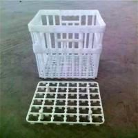 Quality Chicken Cage Turnover Box With Partition Board Chicken Transportation Cage Egg for sale