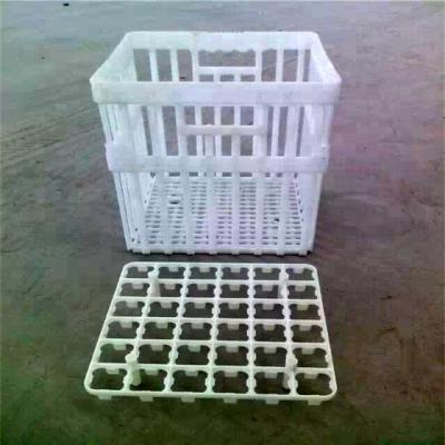 China Chicken Cage Turnover Box With Partition Board Chicken Transportation Cage Egg Cage for sale