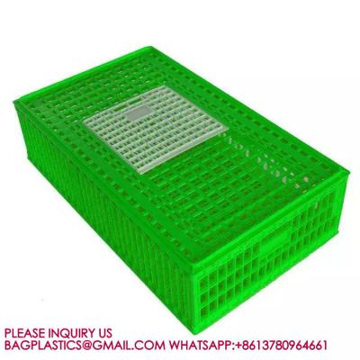 China Poultry Plastic Transport Cage Crate Chicken Turnover Box For Farm Use For Duck Pigeon for sale