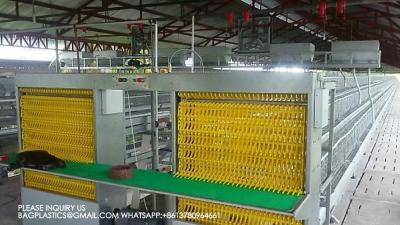 中国 Layer Cages 3 Rows 3 Tiers 4 Tiers A Type Layer Cage Automatic Layer Cage Egg Collection 販売のため