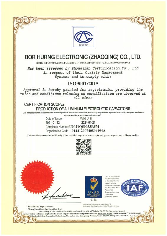 ISO9001 - Bor Hurng Electronic( Zhao Qing) Co., Ltd.