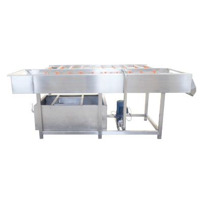 China Jujube Miscellaneous 300kg Fruit Vegetable Washing Machine for sale