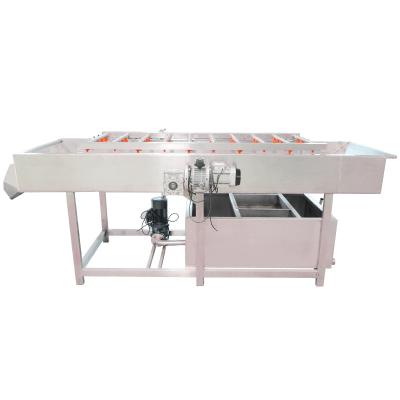 China Brush Vegetable Cleaning Peeling Machine for sale