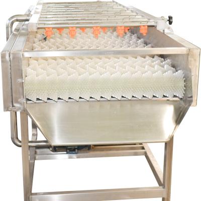 China Stainless Steel 220v Jujube Fruit Vegetable Washing Machine for sale