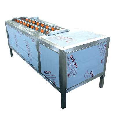 China White Gourd Pumpkins Beans 1.5KW 1000kg/H Cassava Washing And Peeling Machine for sale