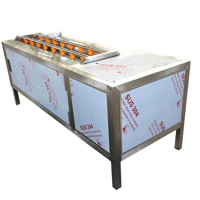 China 1500kg/H Vegetable Peeling Machine for sale