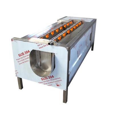 China 9 Psc Roller Brush Beets Onion 300kg/H Vegetable Peeling Machine for sale